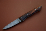 Folder<br /><hr />Klingenlänge: 80 mm<br />Gesamtlänge: 195 mm<br />Klingendicke: 3,1 mm<br />Griffmaterial: Wüsteneisenholz<br />Klingenmaterial: Fritz Schneider Damast